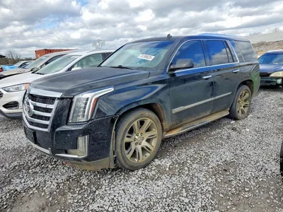 2015 CADILLAC ESCALADE LUXURY, фото 1, лот 10868269