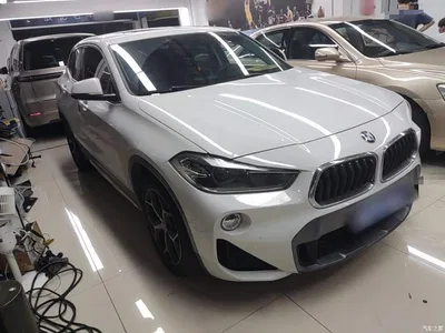 2019 BMW X2 (Import) sDrive20i M Off-Road Package China VI, фото 4, лот 10625427