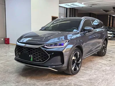 2024 BYD Tang New Energy DM-i Glory Edition 112KM Deluxe, фото 1, лот 10274087