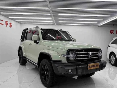 2021 Tank 300 Urban Edition 2.0T Stylish, фото 2, лот 11223897