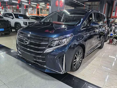 2021 GAC Trumpchi Trumpchi M8 Leading Show Series 390T Ultimate Edition, фото 1, лот 10416572
