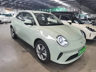 2025 Ora Good Cat 430km Honor Edition, фото 4, лот 10447790