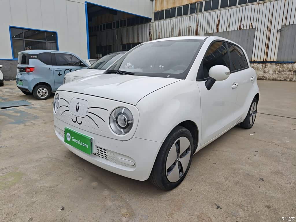 2021 Ora Black Cat 301km Pet Edition, фото 2, лот 11218149