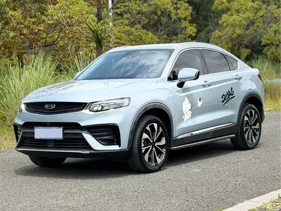 2021 Geely Xingyue S 2.0TD DCT Two-Wheel Drive Lightning Edition, фото 1, лот 10302539