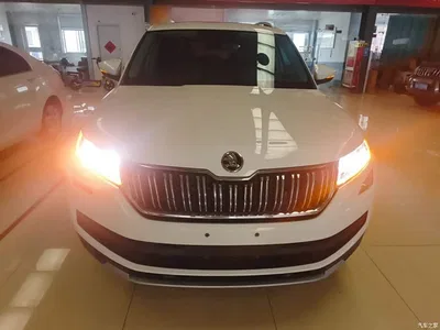 2019 Škoda Kodiaq Facelift TSI330 5-Seater 2WD Luxury Premium Edition China VI, фото 3, лот 11198234