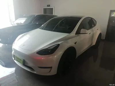 2021 Tesla Model Y Model Long Range AWD, фото 1, лот 10370137