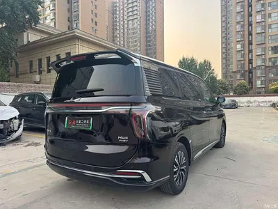 2024 Hongqi HQ9 PHEV Model 2.0T AWD Business Edition, фото 4, лот 10288036