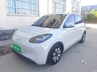 2023 Wuling Motors Wuling Bingo 333km Joyful Version, фото 1, лот 10369048