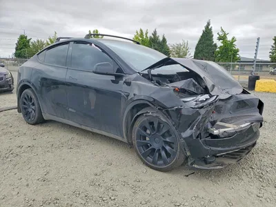 2024 TESLA MODEL Y, фото 4, лот 10852321