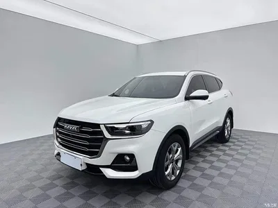 2021 Haval H6 Model National Trend Edition 1.5T Auto Champion, фото 1, лот 10283217