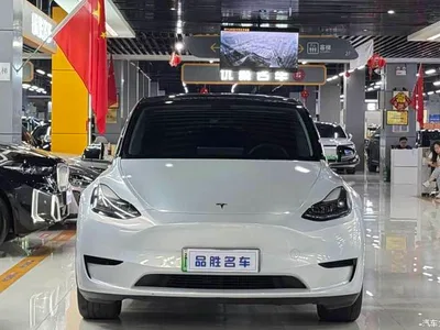 2023 Tesla Model Y Rear-Wheel Drive Edition, фото 2, лот 11248676