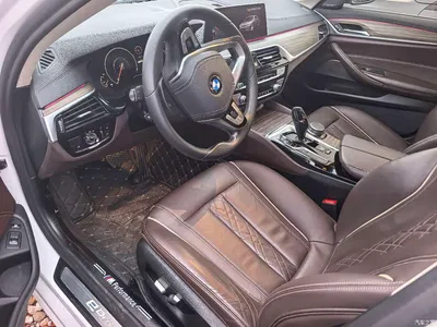 2019 BMW 5 Series New Energy Facelift 530Le Luxury Package, фото 4, лот 11197604
