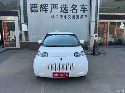 2020 Ora White Cat 360km Standard Model, фото 1, лот 10332179