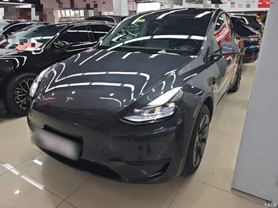 2024 Tesla Model Y Rear-Wheel Drive Version, фото 2, лот 10369748