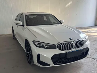 2023 BMW 3 Series 320Li M Sport Package, фото 2, лот 10632714