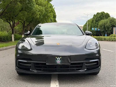 2019 Porsche Panamera 4 Executive Long Wheelbase 2.9T, фото 2, лот 10432903