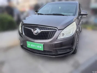 2017 Buick GL8 25S Luxury China V, фото 1, лот 10262245