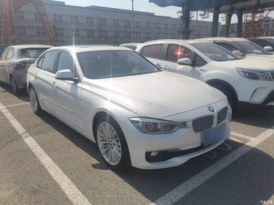 2018 BMW 3 Series 320Li Fashion Style, фото 4, лот 11133121