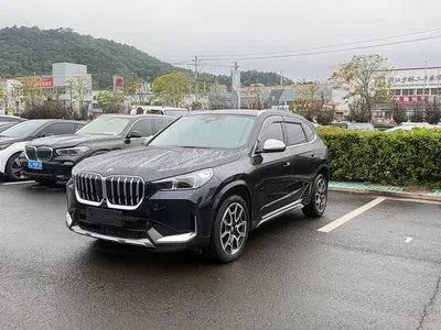 2023 BMW X1 sDrive25Li X Design Package, фото 1, лот 10466986