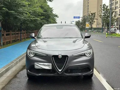 2017 Alfa Romeo Stelvio 2.0T 200HP Luxury Edition, фото 2, лот 11205295