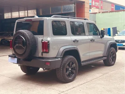 2021 Tank 300 Off-road Version 2.0T Conqueror, фото 4, лот 10344761