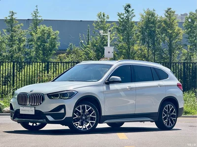 2022 BMW X1 xDrive25Li Premium, фото 1, лот 10465093