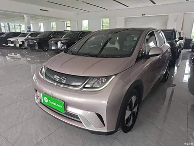 2023 BYD Dolphin 420km Fashion Edition, фото 2, лот 10263977