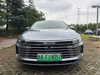 2024 BYD Destroyer 05 Glory Edition DM-i 120KM Luxury, фото 2, лот 10257691