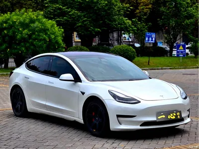2019 Tesla Model 3 (Import) Performance High-Efficiency All-Wheel Drive Version, фото 3, лот 10354337