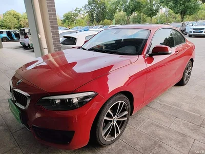 2018 BMW 2 Series (Import) 220i Sport Design Package, фото 1, лот 11140480