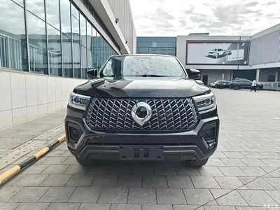 2024 Great Wall Pao Model 2.4T Commercial Version Automatic Diesel 4WD Elite Type, фото 2, лот 10246064
