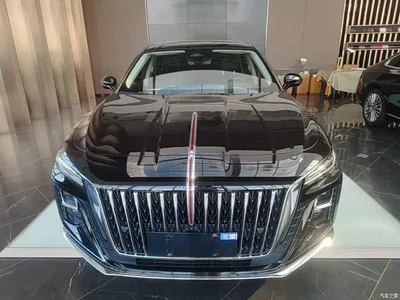 2024 Hongqi H5 2.0T Automatic Smart Connect Flag Smooth Edition, фото 3, лот 10304229