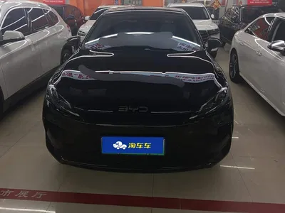 2025 BYD Hai Bao 05 DM-i DM-i Smart Drive Edition 55KM Luxury, фото 2, лот 10402057