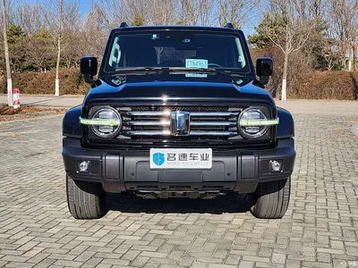 2023 Tank 300 Urban Edition 2.0T Must-Have Type, фото 2, лот 10344110