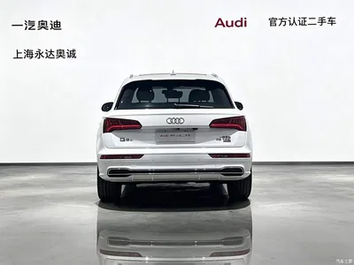 2020 Audi Q5L 45 TFSI Exclusive Fashion, фото 3, лот 10233517