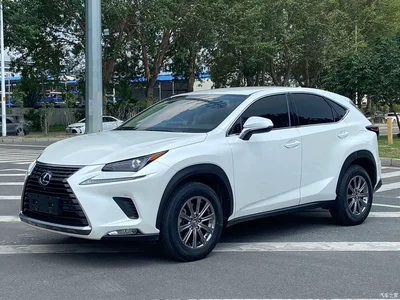 2020 Lexus NX 200 FWD Sharp Edition China VI, фото 1, лот 10319114