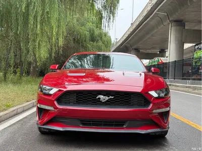 2021 Ford Mustang 2.3T EcoBoost, фото 2, лот 10296283