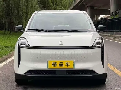 2023 Besturn Bestune NAT PRO Joy Travel Edition 425km, фото 2, лот 11537722
