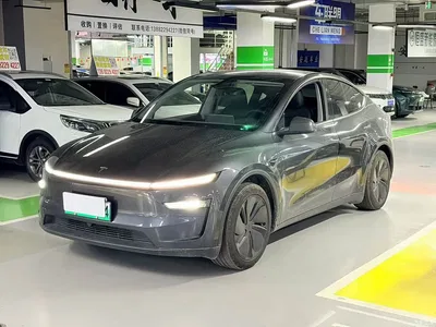 2025 Tesla Model Y Rear-Wheel Drive, фото 1, лот 10451956