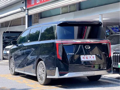 2024 GAC Trumpchi Trumpchi M8 Model Grandmaster Series 400T Pioneer Edition, фото 4, лот 10385984