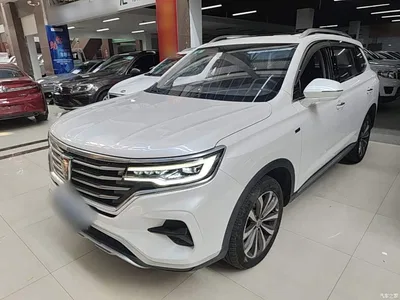 2019 Roewe RX5 MAX 300TGI Automatic 4G Connected Luxury Edition, фото 2, лот 10341103