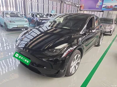 2022 Tesla Model Y Rear-Wheel Drive Version, фото 2, лот 10370172