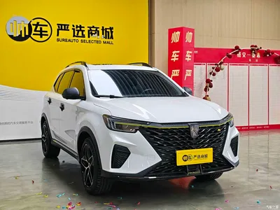 2021 Roewe RX5 PLUS 330TGI Automatic National Trend Premium Edition, фото 3, лот 10340059