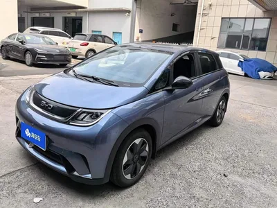 2025 BYD Dolphin 420km Freedom Edition, фото 1, лот 10401158