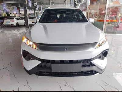 2025 BYD Song Pro New Energy 2nd Generation Smart Drive Edition DM-i 75KM Surpassing Type, фото 3, лот 10276827