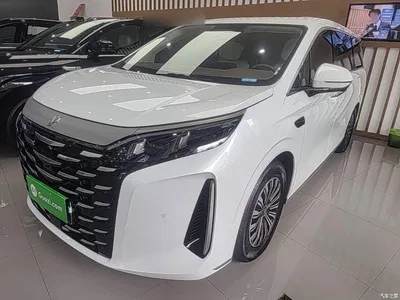 2025 BYD Xia DM-i 1.5T 180km Surpass Edition, фото 2, лот 10271526