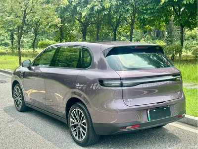 2025 Leapmotor B10 510 Joy Edition, фото 4, лот 10317440