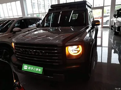 2023 Haval Meng Long NEV Hi4 102 Explorer Edition, фото 3, лот 10615481