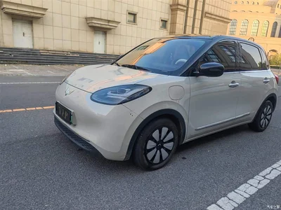 2024 Wuling Motors Wuling Bingo 333km Comfort Edition, фото 4, лот 10367184