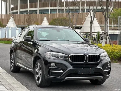 2015 BMW X6 xDrive35i Luxury Model, фото 3, лот 10469052